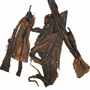 Calamar séché (corps et tentacules)