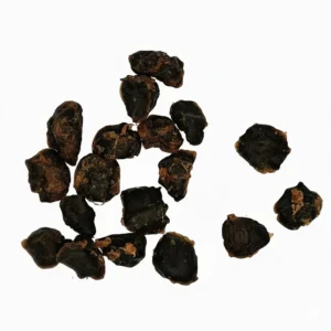 Estomac (gésier) de poulet